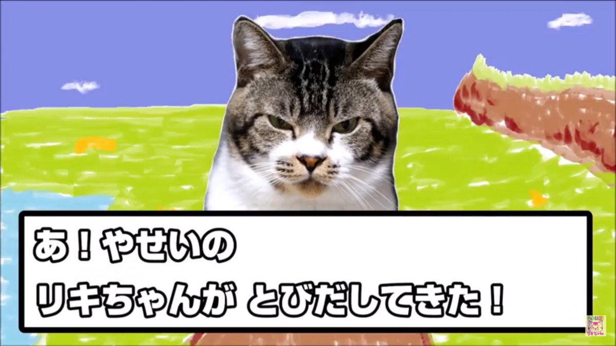 「やせいのねこがあらわれた！」猫と一緒に茶番劇♪リキモンGETだぜ！