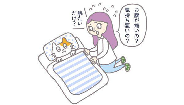 腎臓病のリスクがわかるペット保険とは？