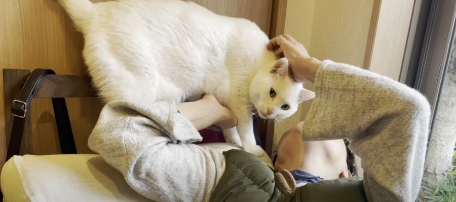 実家のお母さんに愛されすぎな猫ちゃん♡ファンサービスは怠らない！