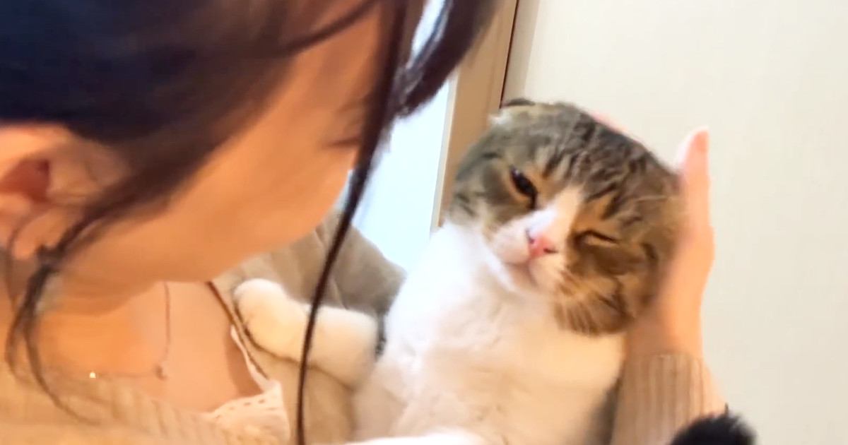 大好きなママが帰ってきて『嬉しくて仕方がない猫』…どこまでも後をついていく『可愛すぎる様子』が31万再生「キュンときた」「超甘えん坊」