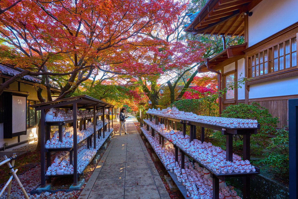 猫好きにはたまらない『猫にまつわる聖地』8選　猫島や神社など魅力あふれる名所をご紹介