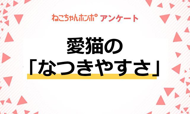 【アンケート実施中！】愛猫の「なつきやすさ」についての意識調査