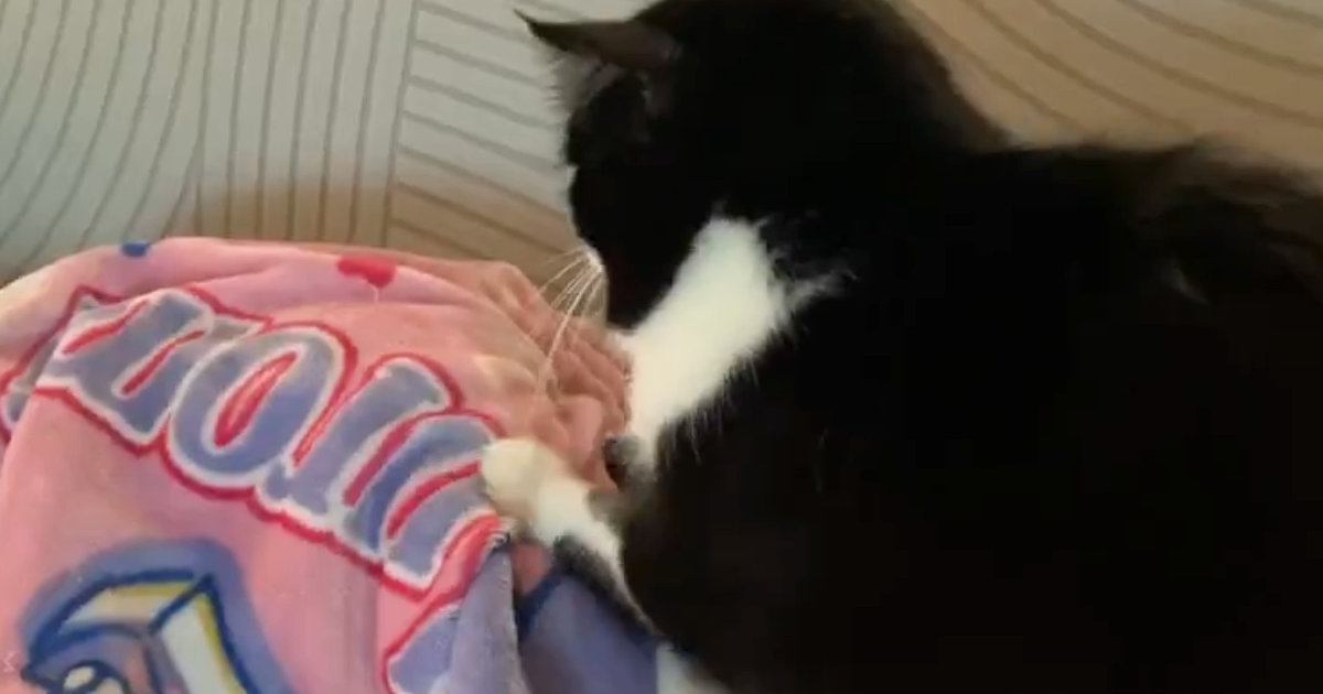 『羨ましい』お昼寝中の子どものそばで…猫がしていた『予想外の行動』に「場所変わってほしいｗ」「動きがいいねｗ」と３万いいねの反響