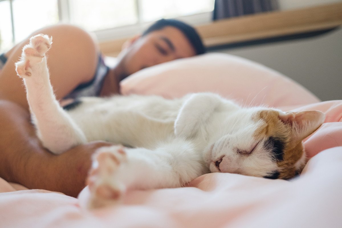 猫があなたに『心を許しきっている』3つのサイン　良好な関係をキープするために気をつけるべきことも