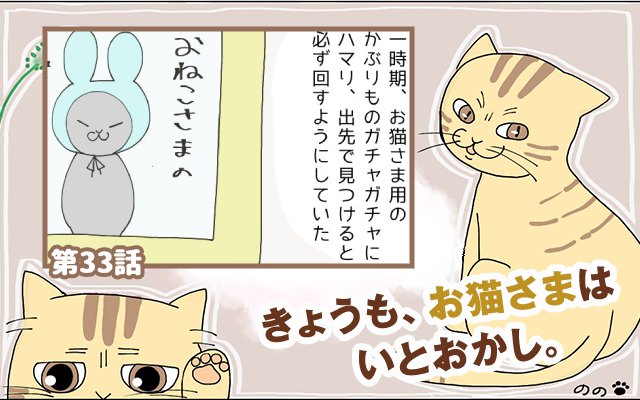 きょうも、お猫さまはいとをかし。【第33話】「底知れぬ怒り」