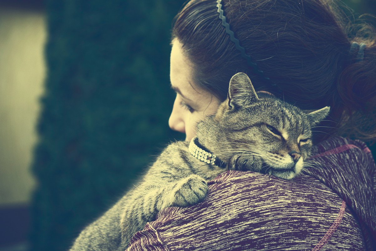 猫の飼い主に多いペットロスでの悩みと解決法をカウンセラーが解説