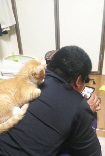 猫が抱きつきたくなる飼い主の特徴５つ