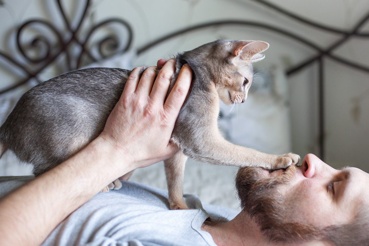 猫を『もっと理解できるようになる』3つの方法