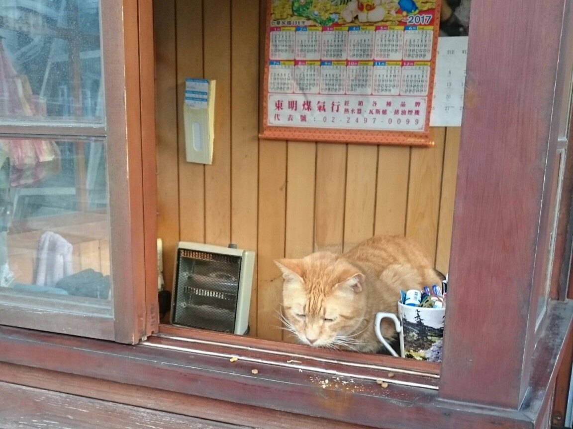 台湾にある猫の村「猴硐（ホウトン）」に行ってきました！