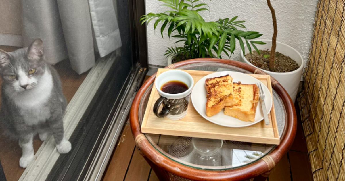 ベランダで朝ご飯を食べようとしたら、網戸越しに猫が…『微笑ましすぎる瞬間』に4万3000いいね「視線が強い…」「癒されたｗ」