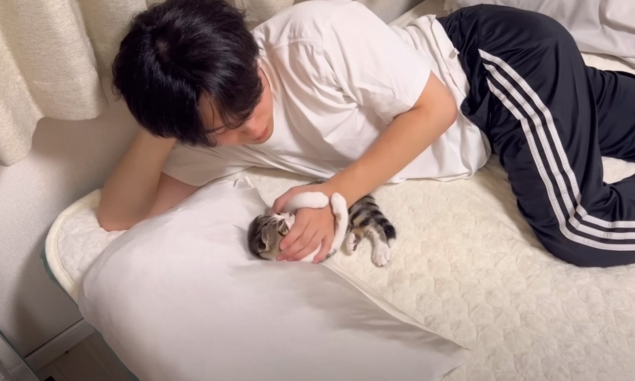 子猫の『寝る前のルーティン』を撮影してみたら…思わず悶絶する『可愛すぎる光景』が123万再生「感動した」「ただの天使じゃないか」