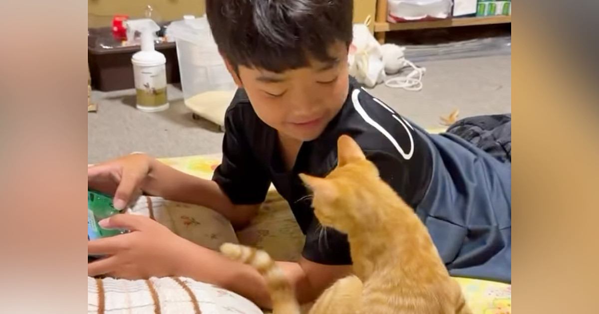 大好きな男の子に『甘える子猫』→予想外の場所でくつろぎ始めて…微笑ましすぎる光景に「幸せが溢れてる」「ふたりとも愛おしい」と反響