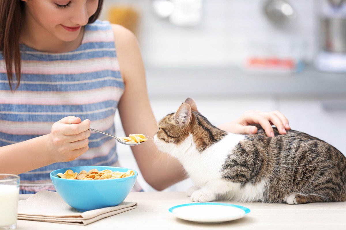 猫に「オレのご飯か！？」と勘違いされがちな人間の食べ物3選　食べるときはこっそりと…