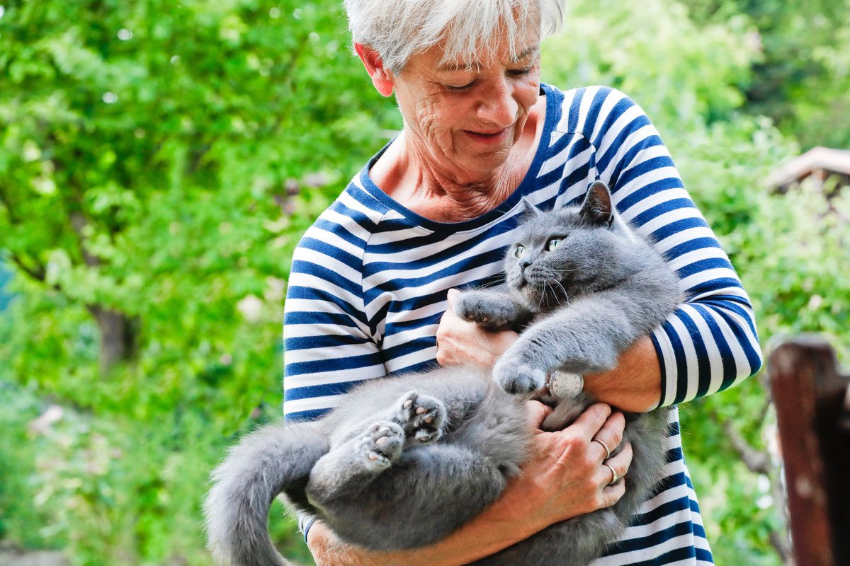 猫の寿命が2倍になる時代に？猫の長寿で飼い主に求められる『心構え』6つ