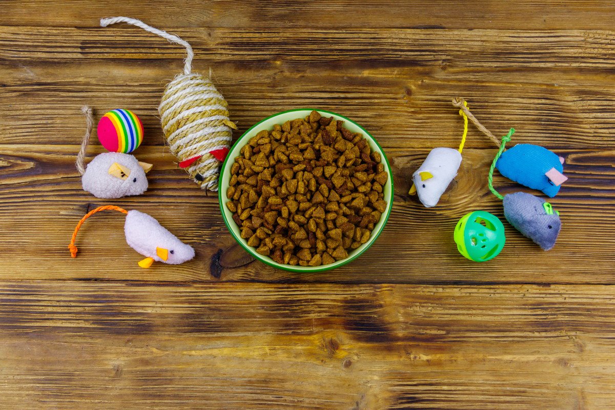 猫が目を輝かせる『理想のごほうび』3選　あげる場面や効果的な活用法まで