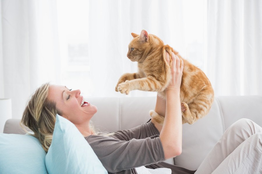 猫飼いさんが日常生活で気を付けたいこと５つ