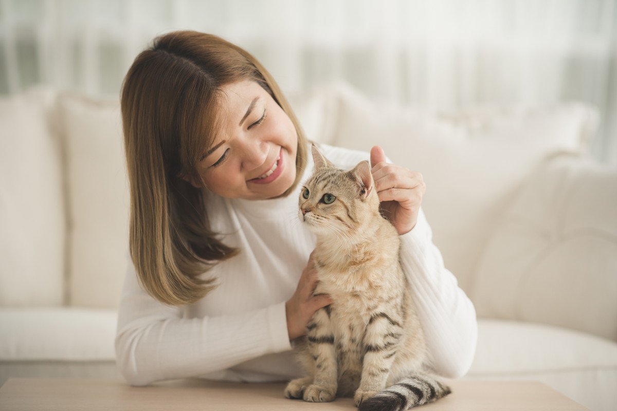愛猫ともっと『絆を深めるため』に試したい4つの方法　信頼を得られるワケや関わり方の心得