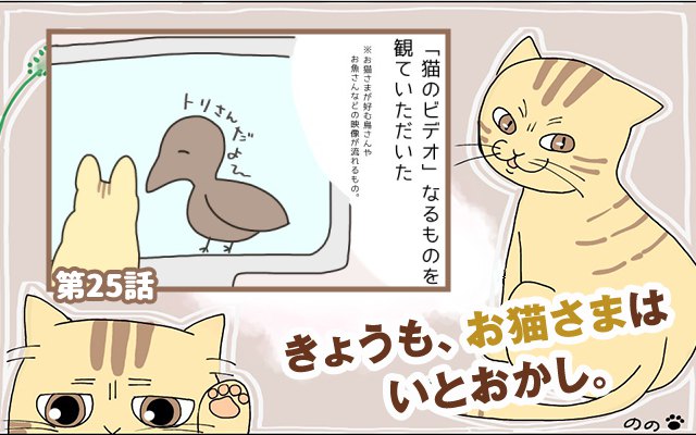 きょうも、お猫さまはいとをかし。【第25話】「温室育ちの感覚」