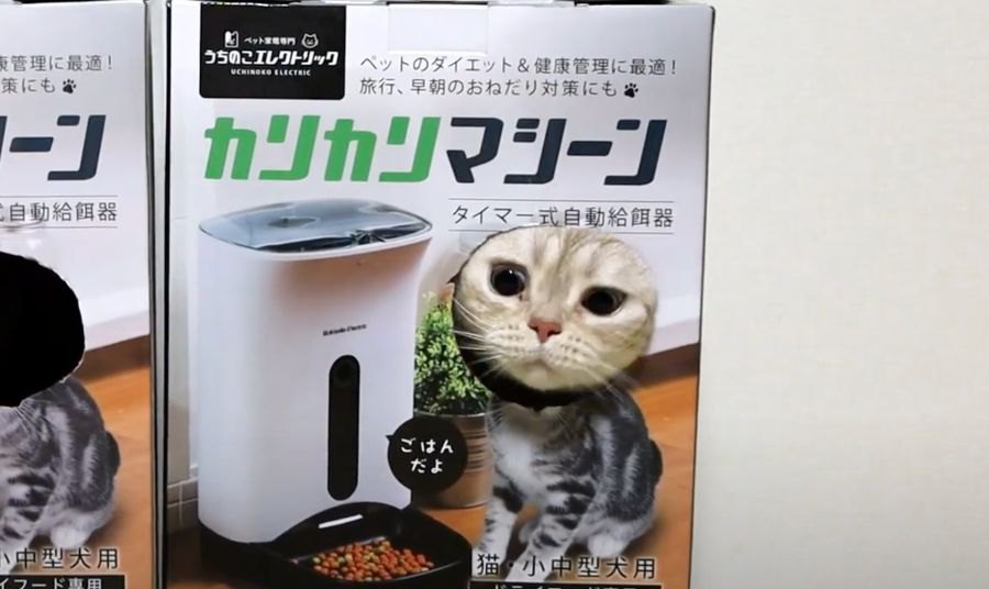 猫ちゃんのためのカリカリマシーンを６ヶ月使ってみた結果