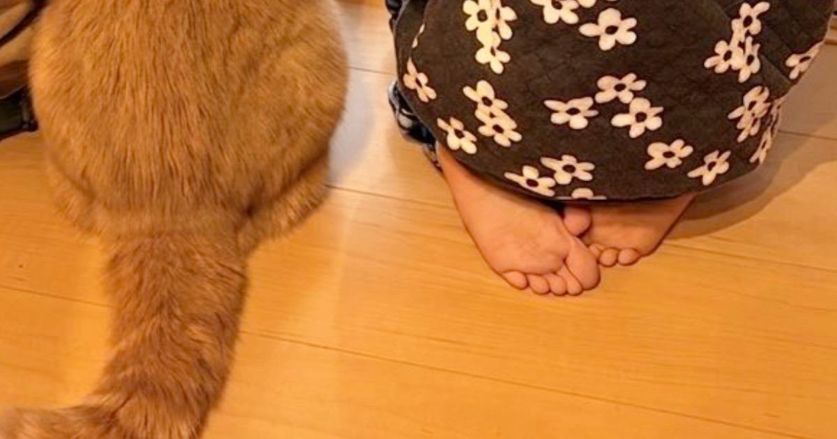 窓の外を眺める女の子と猫→2年半後に『同じ場所』で撮影すると…ほっこりする光景が200万表示「可愛いが増えたｗ」「子供の成長は早い」