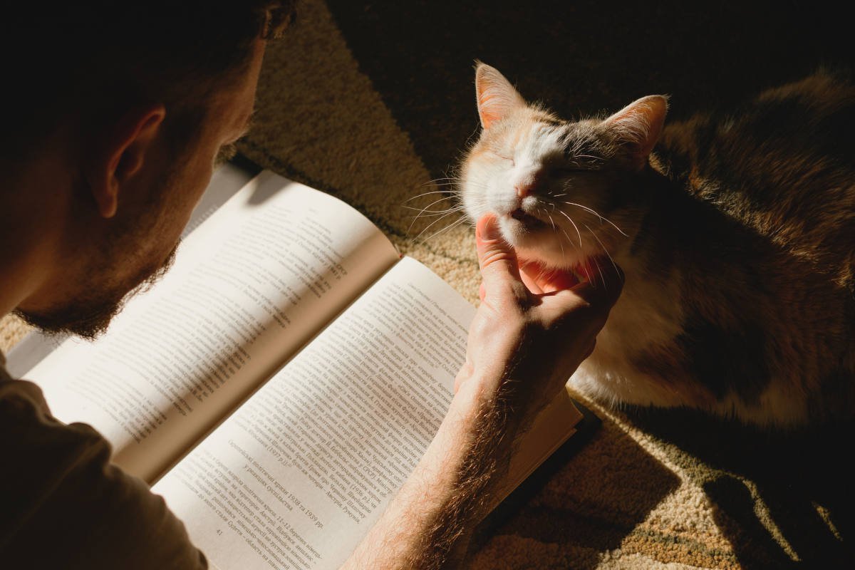 愛猫を亡くした時の『ペットロス』痛みを少しでも癒すためにできる3つのセルフケア