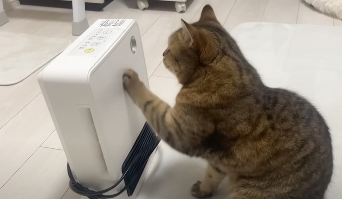 動かなくなってしまった『ヒーター』の前で止まった猫→何するのかと思ったら…胸キュン必至の行動に反響続々「表情が切ない」「大親友なんだね」