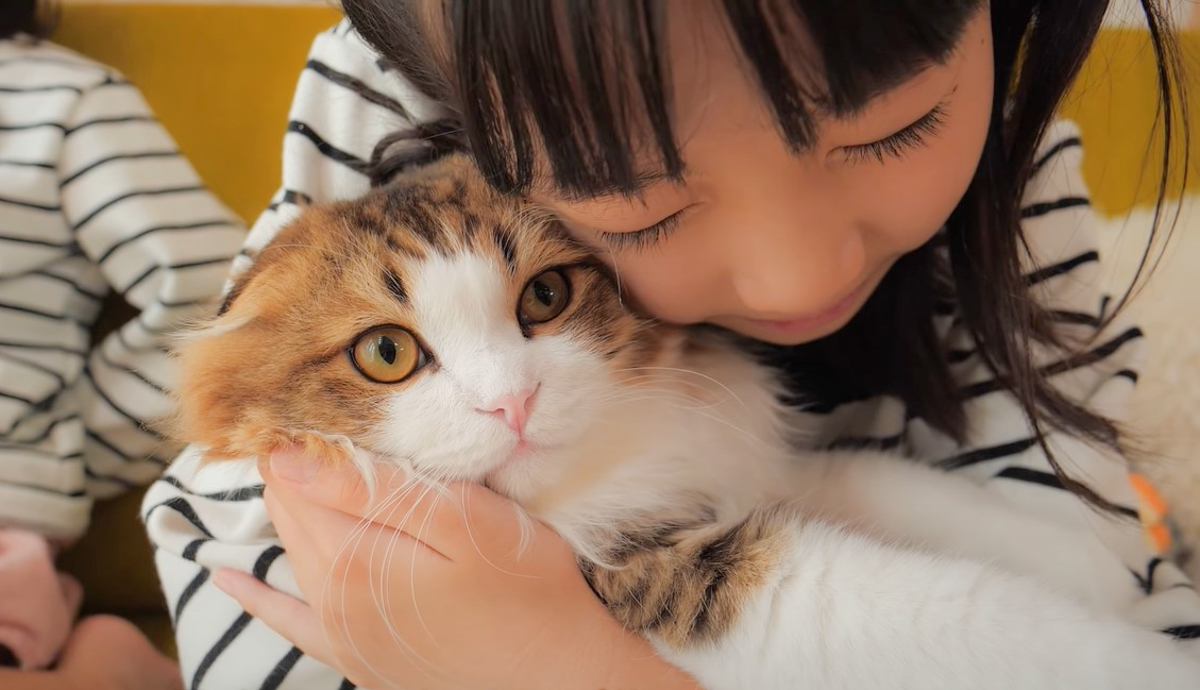 猫を娘のあとに『パパが抱っこしてみた』結果…凄まじい表情の変化が面白すぎると20万3000再生の大反響「目力ｗ」「パパ笑」爆笑の嵐