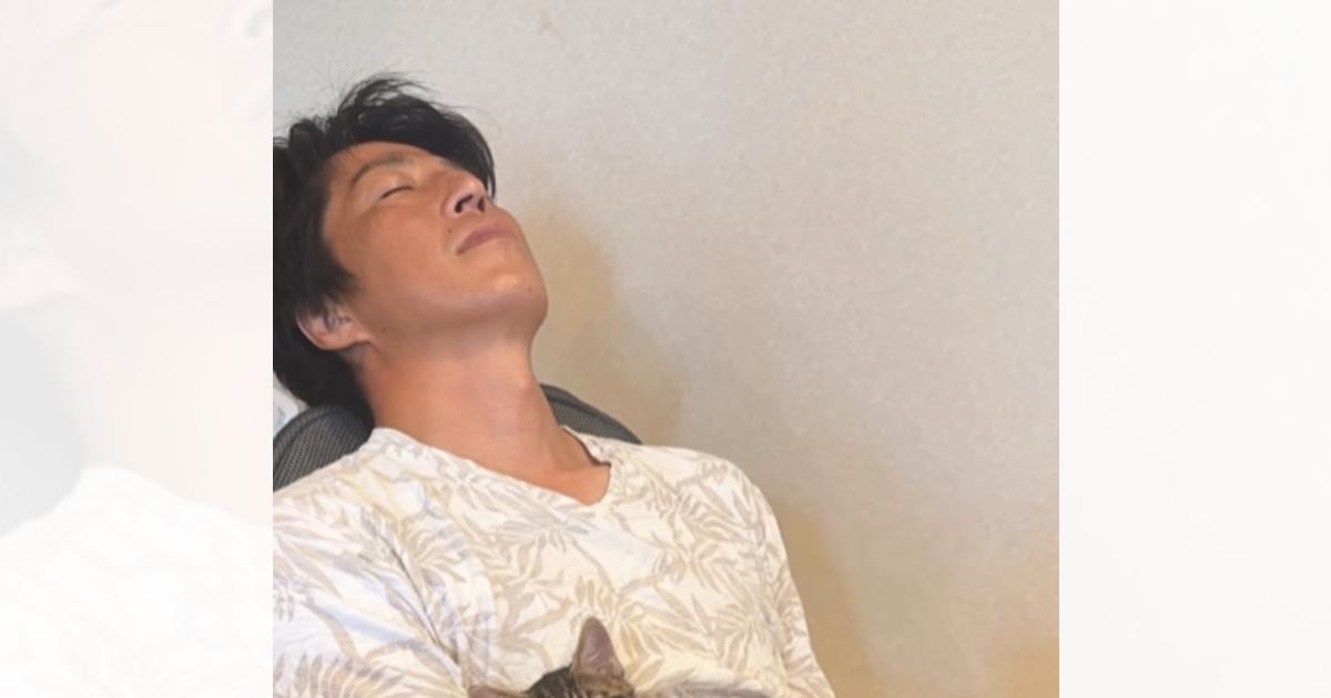 座ったまま寝ていた『旦那のおなかの上』で……子猫が見せた『まさかの様子』が297万再生「いいだろ～って顔ｗ」「めっちゃドヤってて爆笑」
