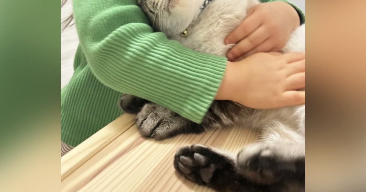 保護されて3日目の猫→女の子にギュッと抱きしめられると…幸せいっぱいな光景に感動の声「相性が良いのね」「尊すぎて涙が出る」と1万いいね