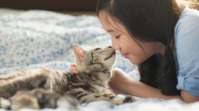 猫にモテる4つの秘訣♡“好かれる人”がしていることって何？