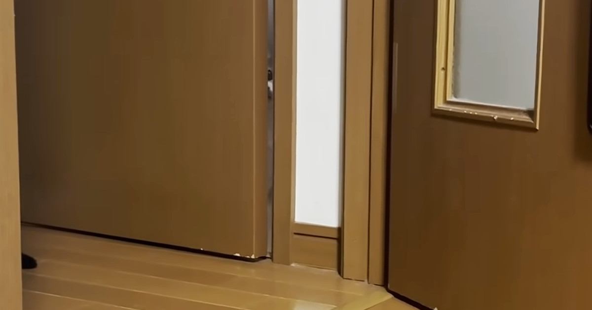 トイレのドアが開いた瞬間、するりと侵入した猫→飼い主がリビングから『名前を呼ぶ』と…可愛すぎる光景に「ワンコみたいｗ」「顔面が可愛い」