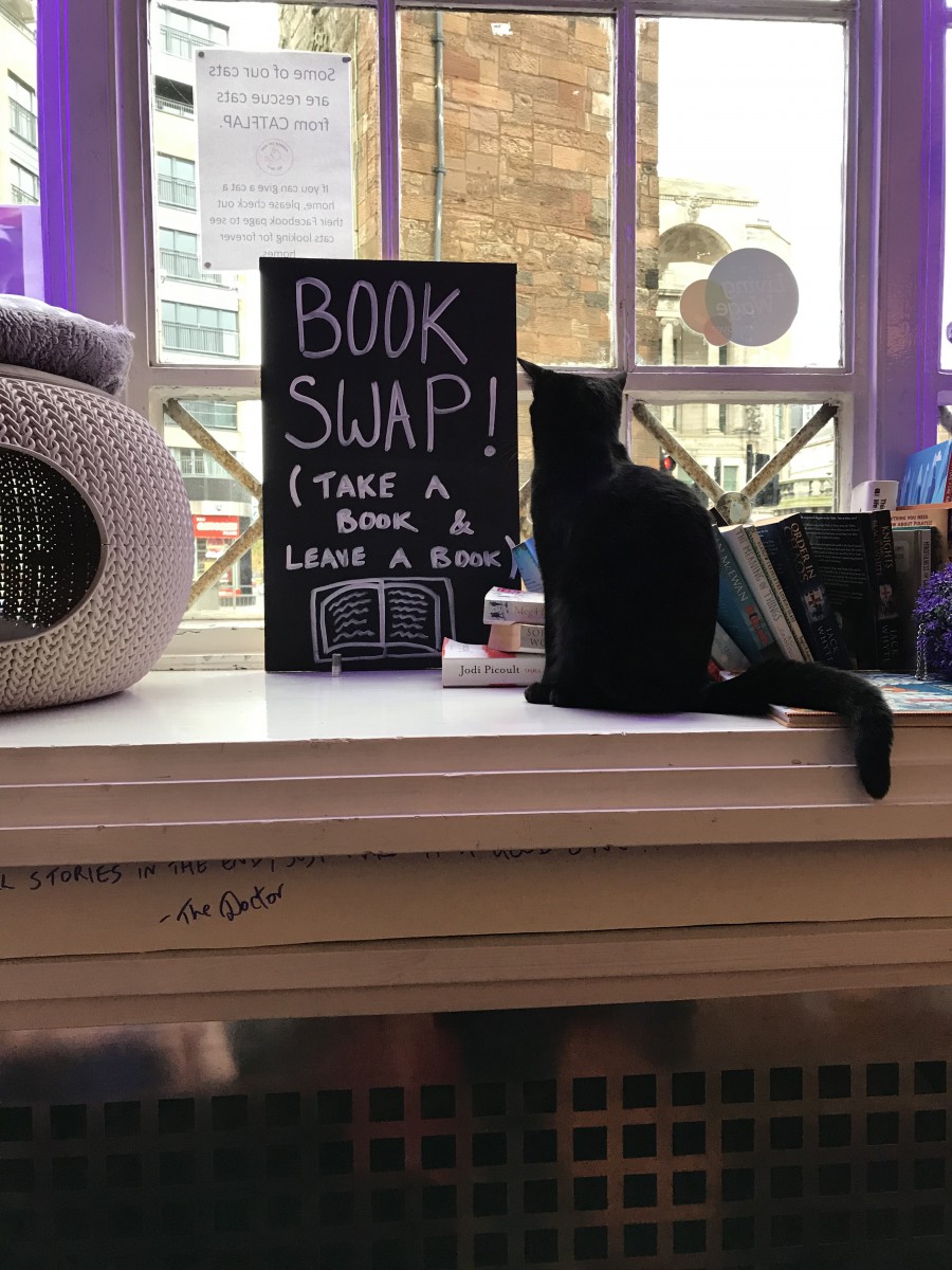 イギリスの猫カフェ「Purrple Cat Café」に行ってきました！