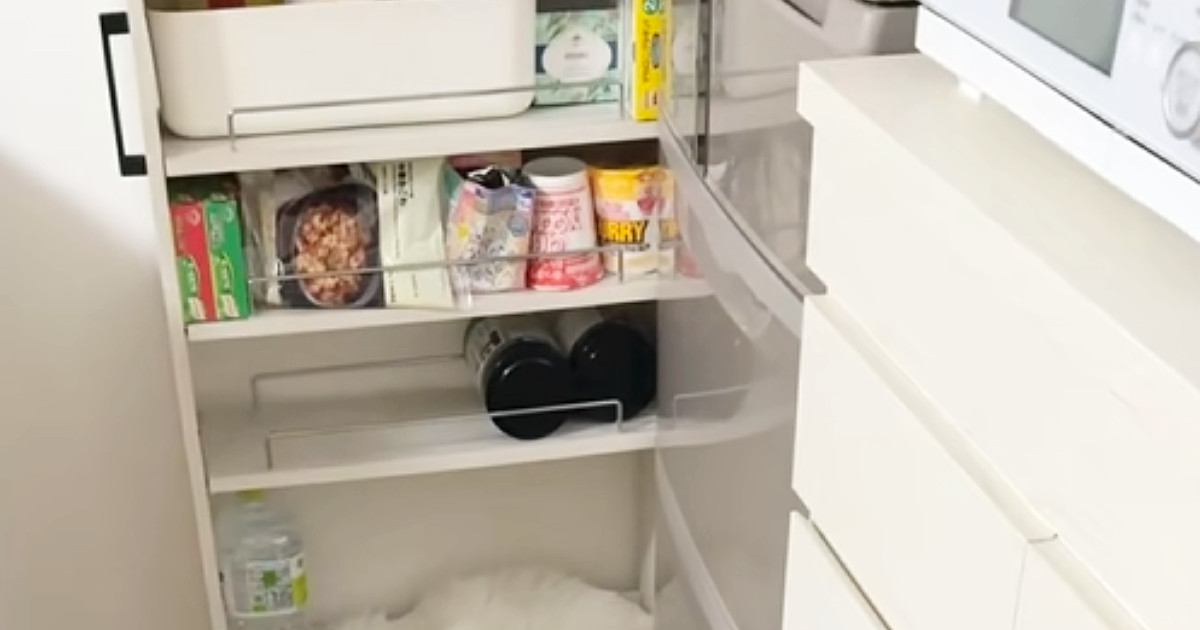 『いなくなった猫』を必死で探していたら……予想外すぎる光景に「気づけないｗ」「絶妙な場所を見つける天才ｗ」と爆笑の声続出