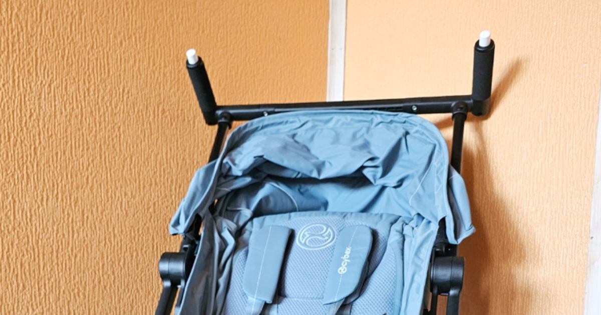 ベビーカーを購入したら、3歳の長男とネコが…想像と違った『まさかの光景』に８万いいね「逆だったかもしれねェ」「私たち入れ替わってる！」