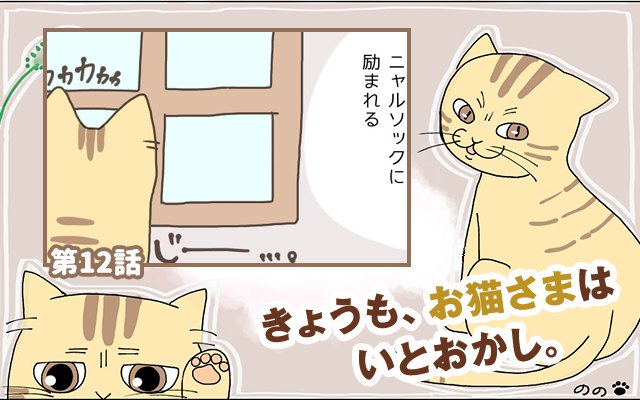 きょうも、お猫さまはいとをかし。【第12話】「温室育ち」