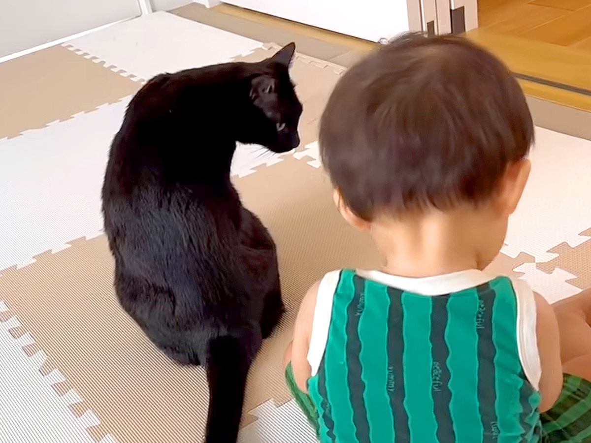 赤ちゃんのことが大好きな黒猫→片時もそばを離れず…『まるでボディーガードのような様子』が話題「愛の交換だね」「頼りがいのある兄ちゃん」