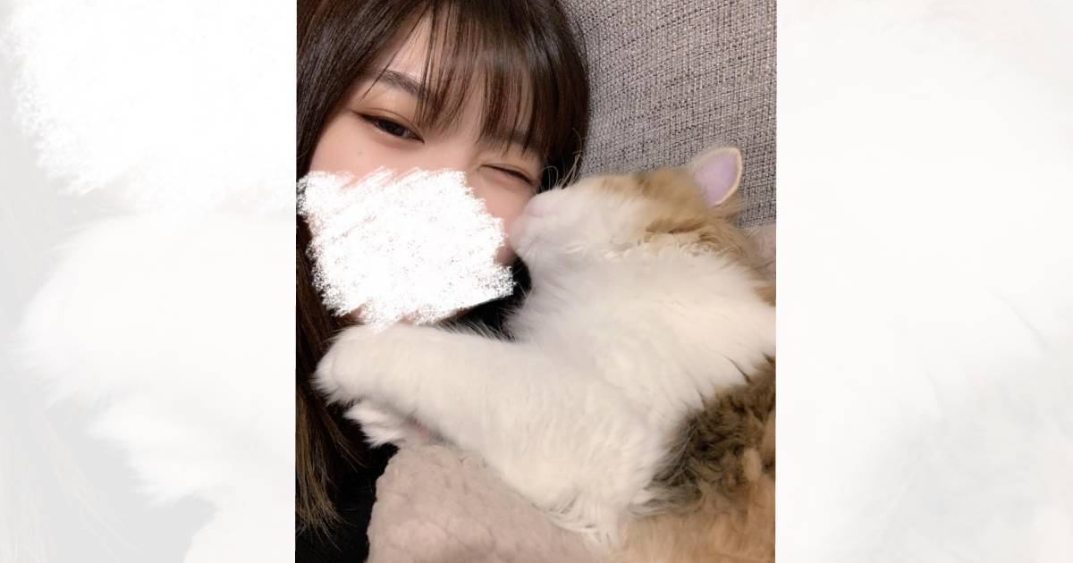 新しい流行は『人間→猫化』？AIを利用して親子になっちゃった"尊すぎる1枚"が5.6万表示「素敵な使い方」「やってみたくなった」と絶賛