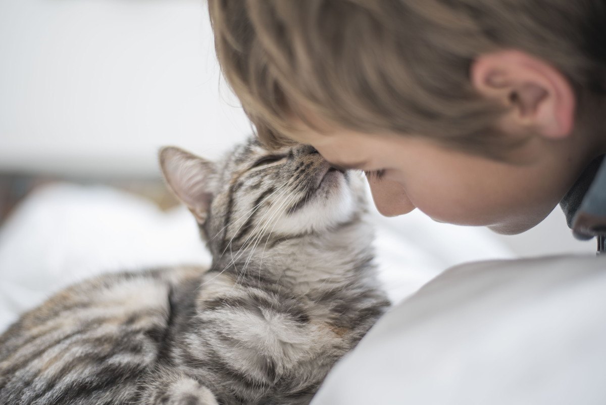 猫が『頭をすり寄せてくる』ときの気持ち4つ