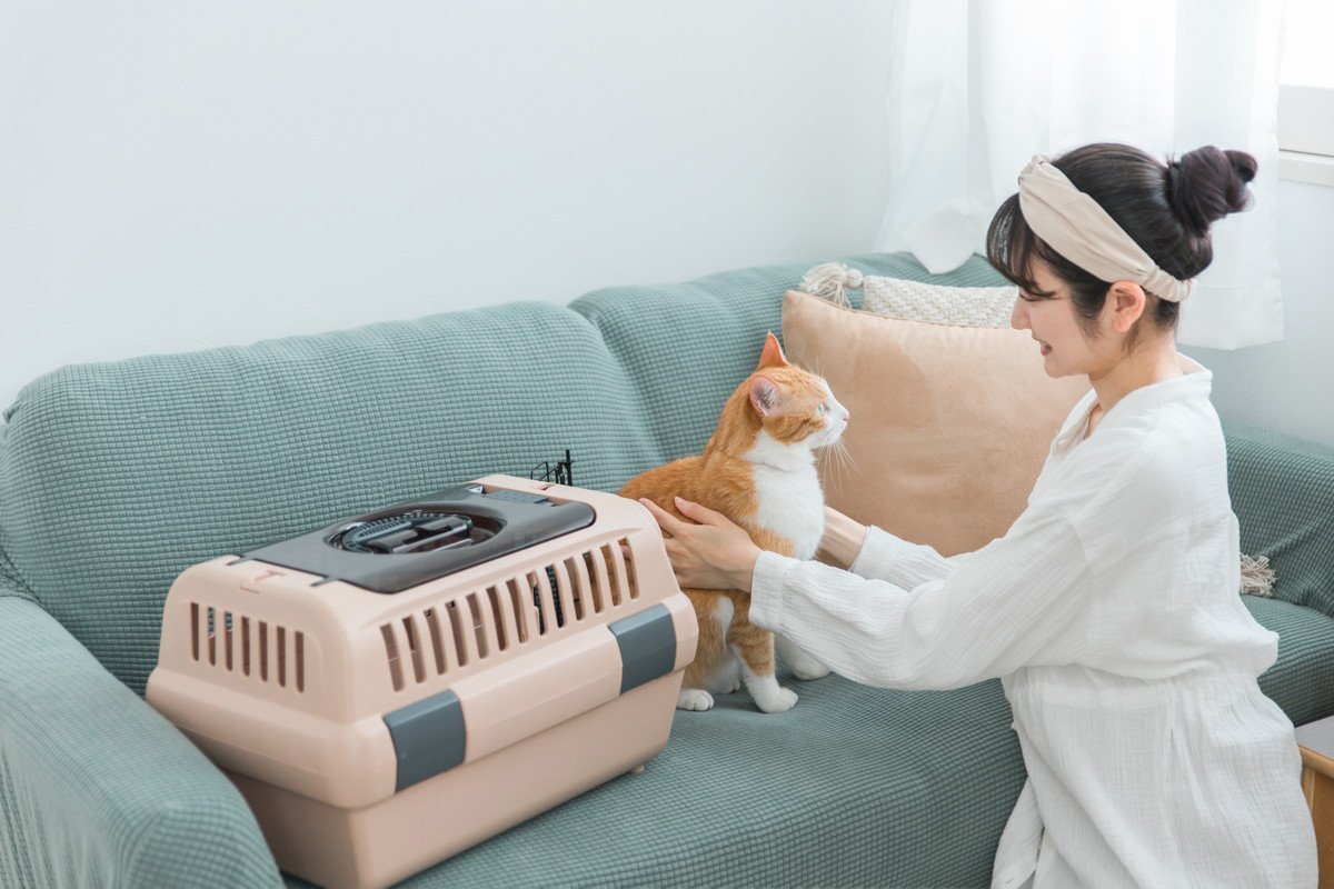 猫と『ドライブをするとき』に気をつけるべき3つのポイント　起こりやすいトラブルも