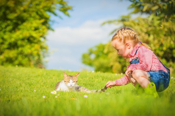 猫が心を開いてきた時にする６つの仕草