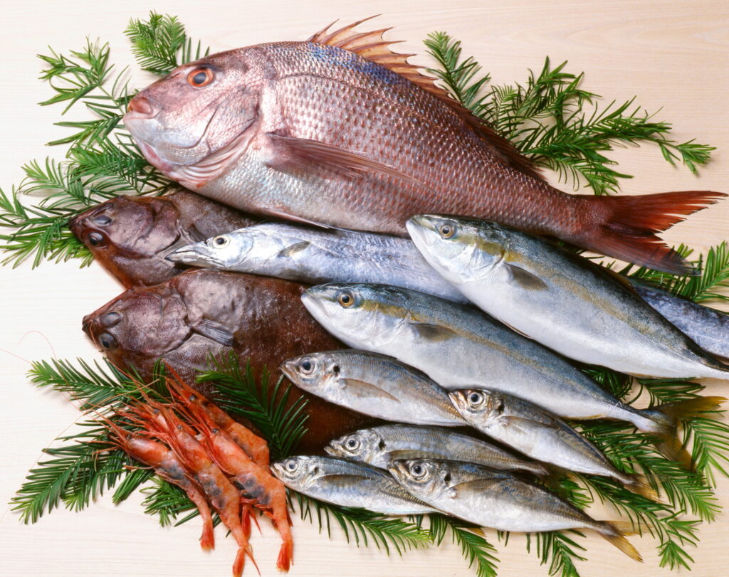 【獣医師監修】猫が生魚を食べるのはNG！危険な理由や中毒症状、安全な調理法まで徹底解説