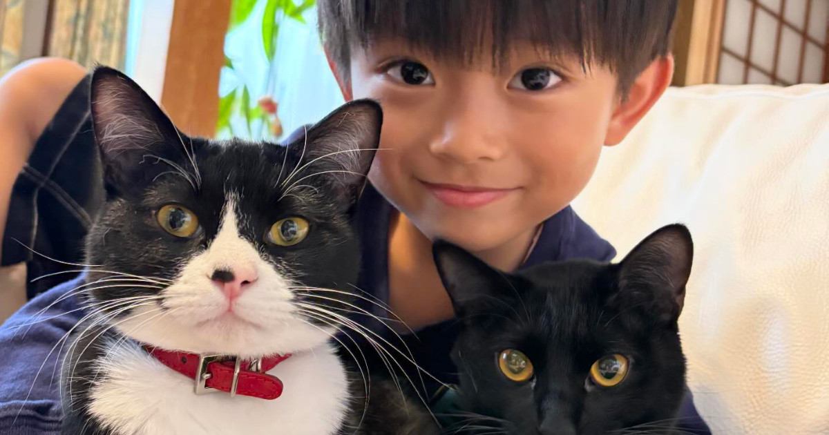 猫たちと並んだ『5歳の男の子』→見比べてみると…思わず二度見する『そっくりすぎる光景』が13万表示「本当にそっくりだ」「素敵な兄弟」
