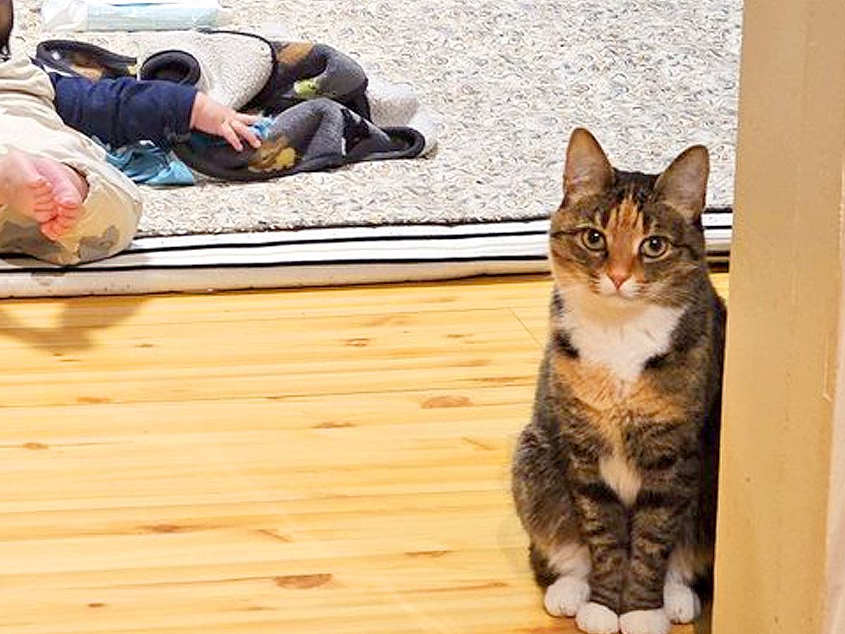 床に寝転ぶ赤ちゃん→近くにいた猫が見つめてきて…想像以上に『不満を訴える光景』に14万いいね「目ヂカラｗ」「お世話係に疲れたのかしら」