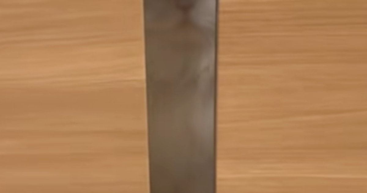 仕事に行こうとすると、扉の向こうから『見つめてくる猫』…あまりにも『健気すぎる表情』に「辛すぎる」「連れていくしかない」と17万再生