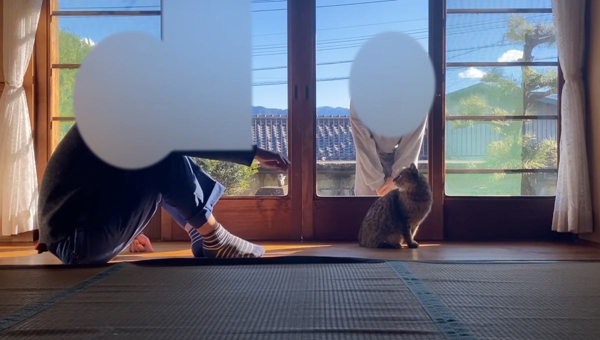 庭に住みついた野良猫を『家族に迎えた』結果、現在の様子が……２年間の軌跡に感動の声続出「めっちゃ泣いた」「とても温かい気持ちになった」