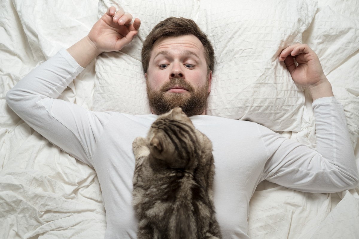 起きろ、主…愛猫が繰り出す『飼い主を叩き起こすためのワザ』3選　回避のためのアイデアも