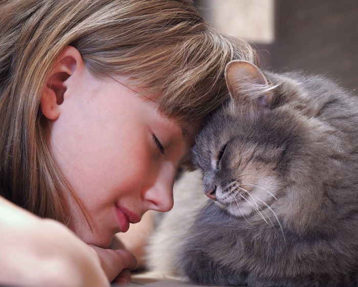 小学生と子猫の出会いと別れの物語