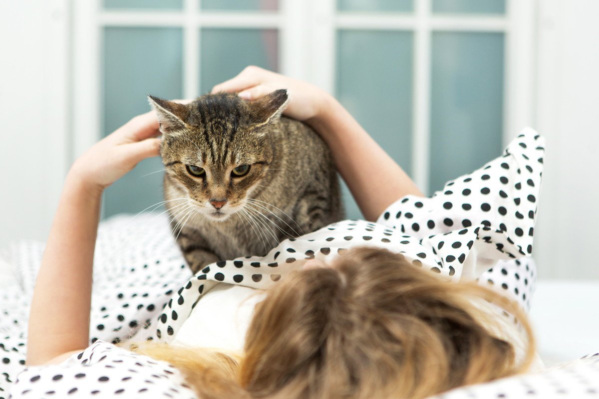 寝かせてほしい…愛猫が『就寝中の飼い主さんを襲う』4つの理由　やめてもらう方法はないの？