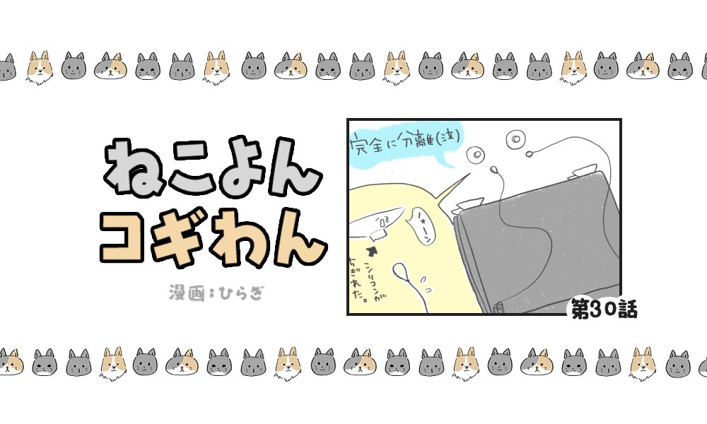 ねこよんコギわん【第30話】「やっぱりコレが好き」