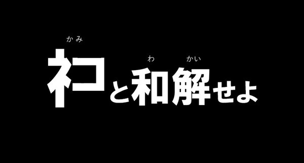 「ネコと和解せよ」とは？その謎を解明せよ！